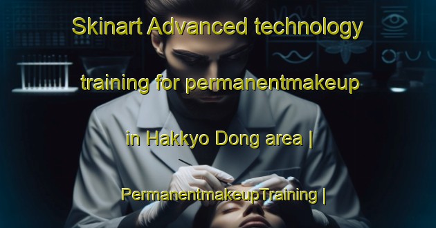 Skinart Advanced technology training for permanentmakeup in Hakkyo Dong area | PermanentmakeupTraining | PermanentmakeupClasses | SkinartTraining-Democratic Peoples Republic of Korea